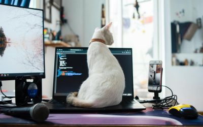Après avoir supprimé le télétravail, cette entreprise fait face à une situation inhabituelle