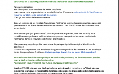 NAO 2025 = Négociation Annuelle Obligatoire sur nos rémunérations…pourquoi voter CFE-CGC?